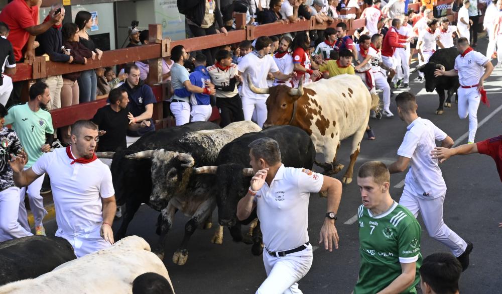 Imagen Un encierro que parecía sencillo se convierte en uno de los más trepidantes de la semana en San Sebastián de los Reyes