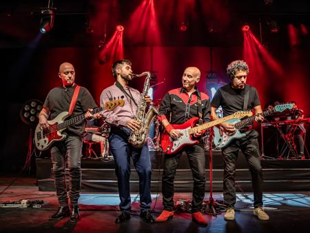 Concierto - Tributo a Dire Straits: Brothers in band