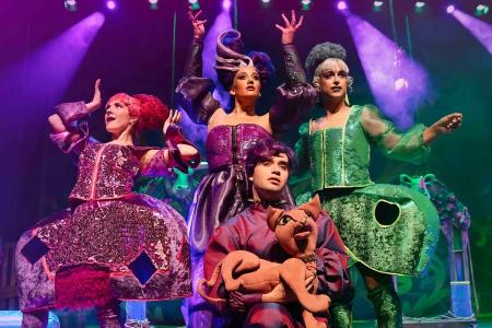 Público familiar: Cenicienta, el musical