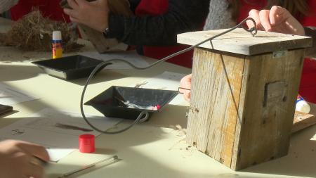 Imagen Una jornada para explorar las cajas nido y conocer las aves de San Sebastián de los Reyes