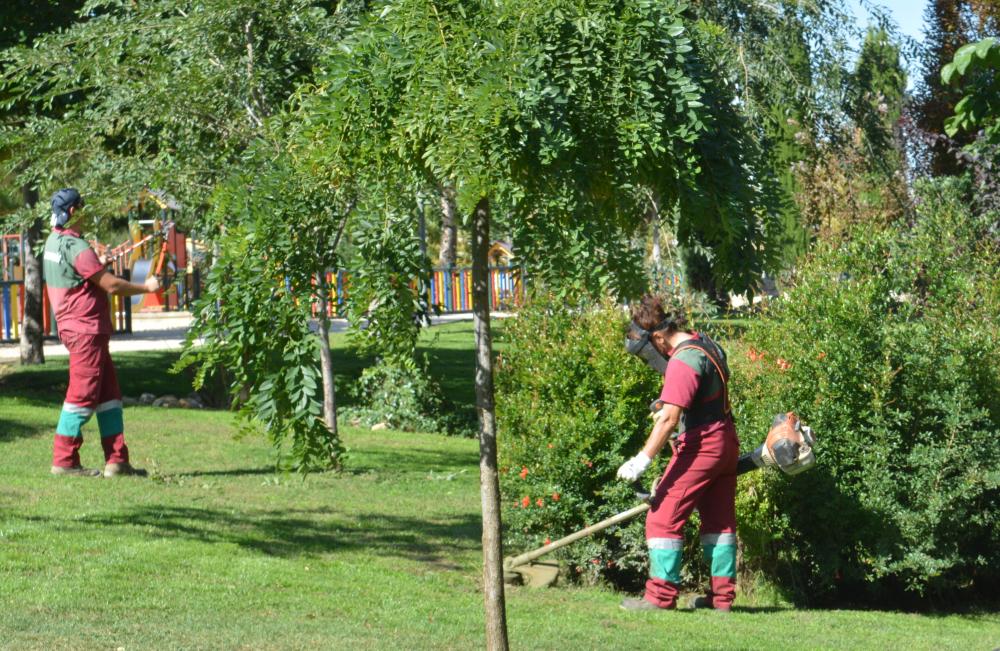 Dos operarios trabajan en un parque de Sanse.