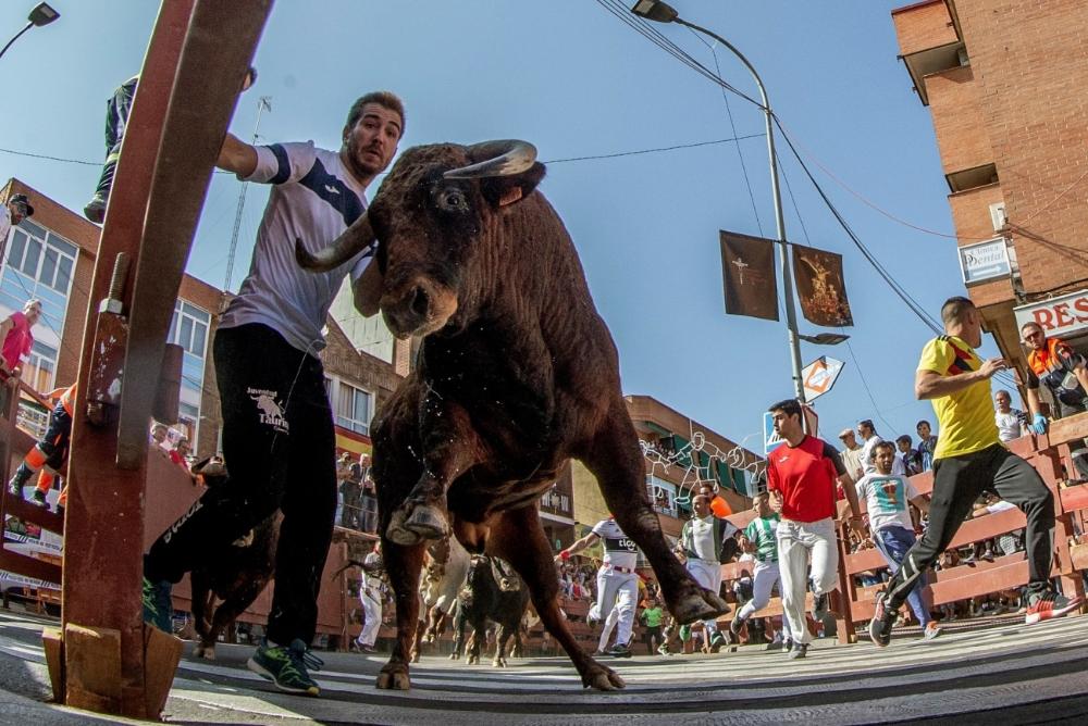 Imagen El Gobierno de Sanse pide el mismo trato para los festejos populares en las nuevas normas de la Comunidad de Madrid