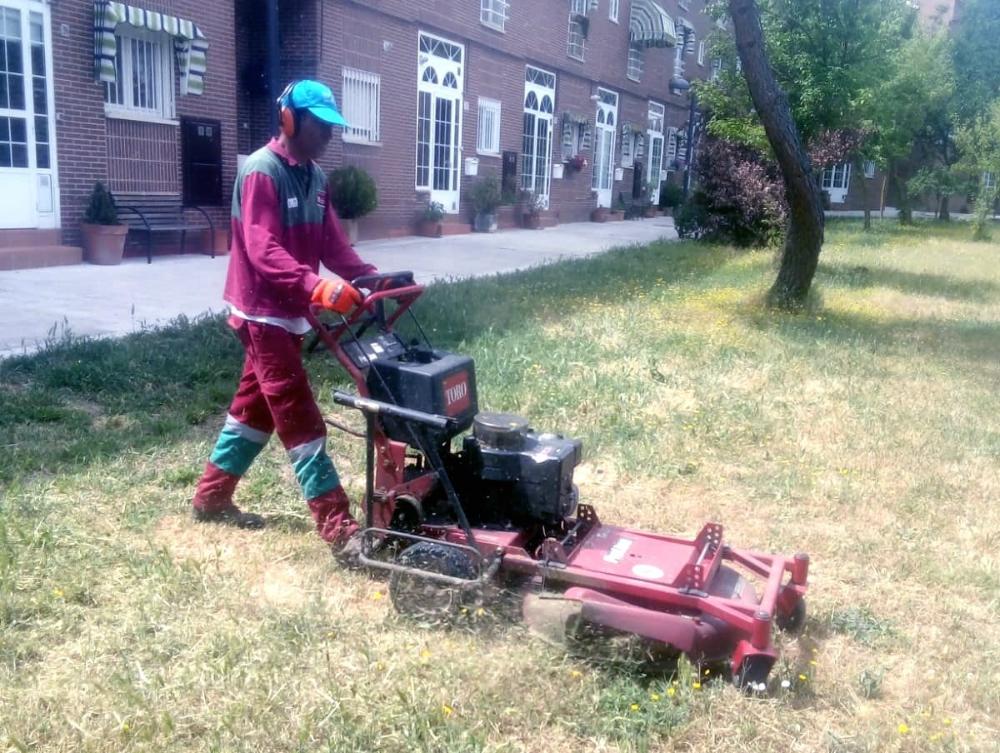 Un operario desbroza una zona de maleza.