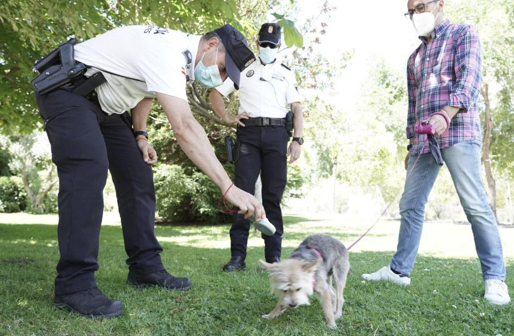 Un agente comprueba el chip de un perro.