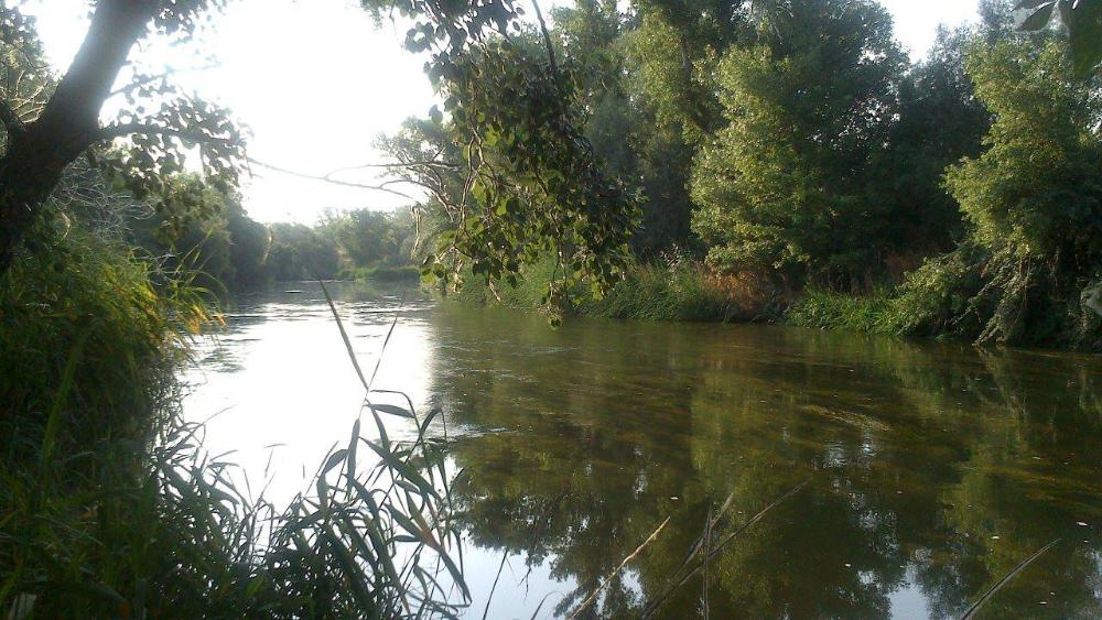 Imagen Sanse se alía con otros municipios por la recuperación del río Jarama
