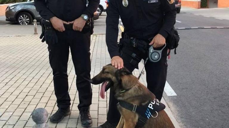 Imagen La Policía Local activará una campaña para evitar el consumo de sustancias estupefacientes en entornos escolares con el apoyo de su Unidad Canina