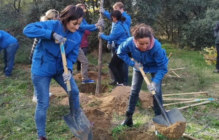 Imagen Sanse y la Fundación FDI plantarán más de 2.000 árboles en distintas zonas del municipio con voluntariado