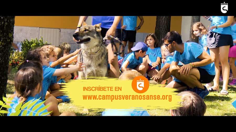 Imagen La Asociación de Clubes presenta los Campus Predeportivos de Verano con una oferta de 7.200 plazas para facilitar la conciliación familiar