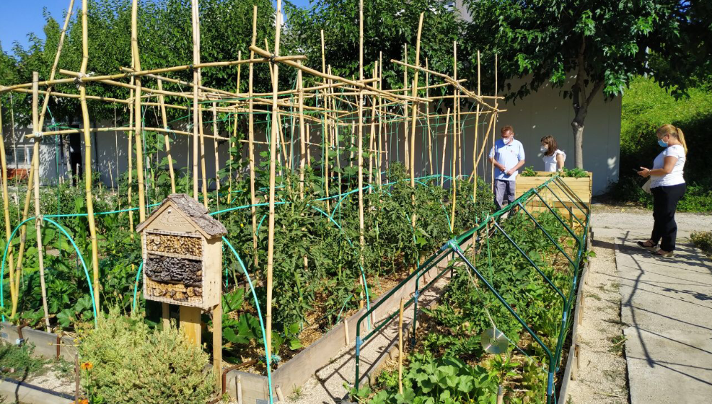 Imagen Abierta la convocatoria de las 47 parcelas de Tempranales destinadas a huertos urbanos