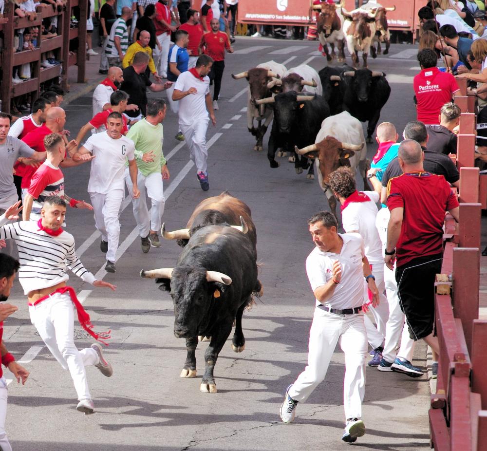 Imagen Los toros de La Cardenilla protagonizan emocionantes carreras en el tercer encierro de las fiestas