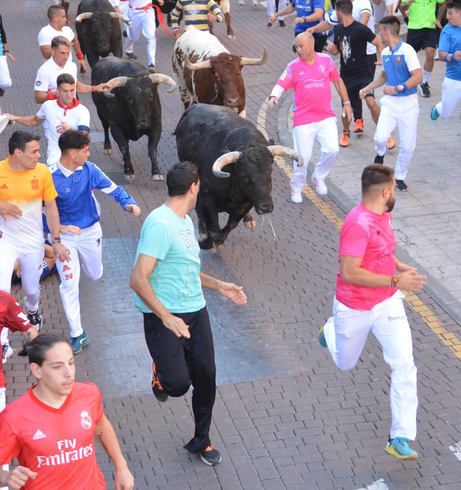 Imagen Los toros de Luis Terrón ofrecen un espectáculo de largas carreras, en el sexto encierro de las fiestas