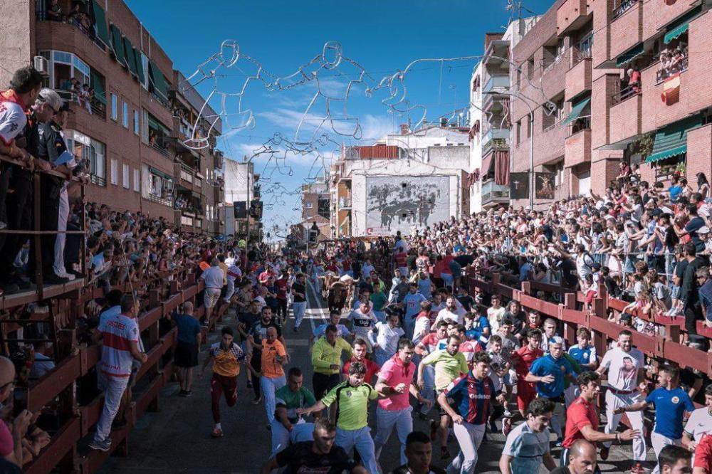 Imagen El Ayuntamiento presentará alegaciones al proyecto del Reglamento de Espectáculos Taurinos Populares de la Comunidad de Madrid