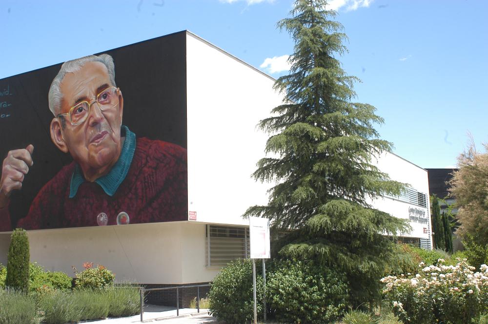 Imagen El Ayuntamiento ofrece formación con altas probabilidades de inserción laboral