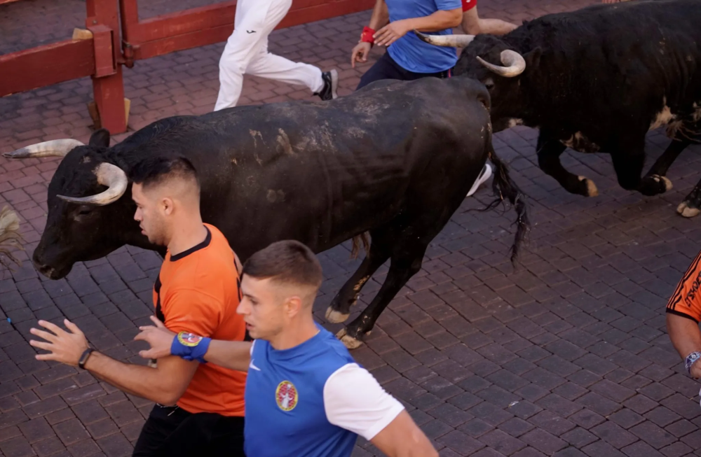 Imagen El primer encierro, con 5000 espectadores y 1200 participantes en la manga, transcurre con total normalidad