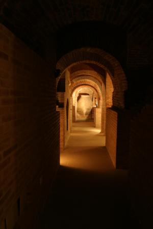 III Jornadas del vino en las tradiciones y en la cultural popular