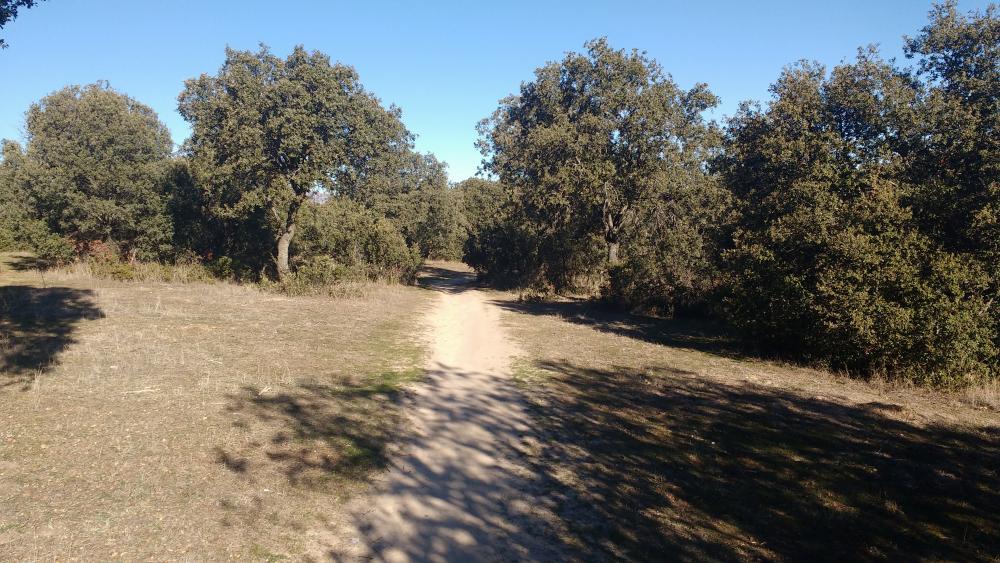 Imagen Bando municipal sobre el Plan Especial de Protección Civil de Emergencia por Incendios Forestales en la Comunidad de Madrid