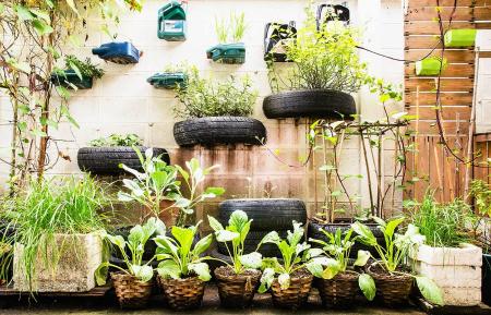 Imagen Curso monográfico: Jardinería y alimentación ecológica