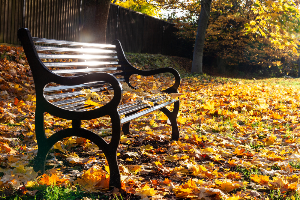 preview highslide min