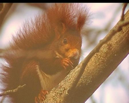 Imagen Fotografías de Juan Armendáriz en la Biblioteca Central