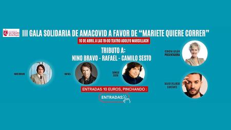 Imagen La III Gala Solidaria de AMACOVID rendirá tributo a Nino Bravo, Rafael y...