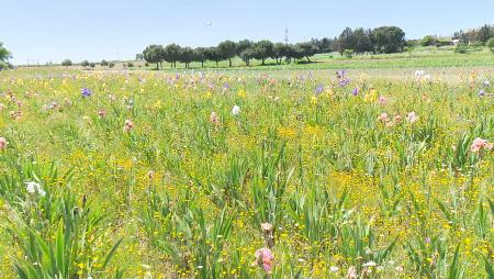 Imagen Una hora menos de sueño y más horas de luz con el nuevo cambio de hora