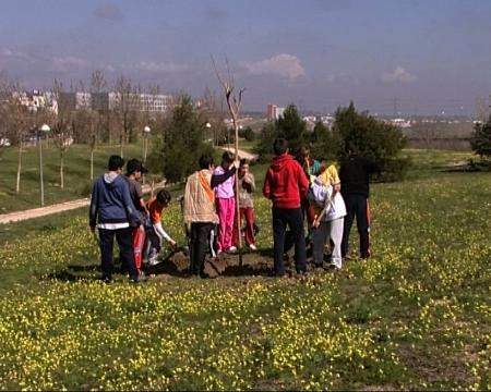 Imagen Día Forestal Mundial