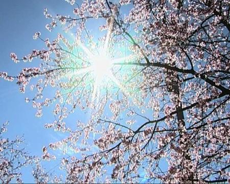 Imagen Hogar responsable