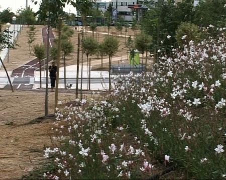 Imagen Un paseo en el antiguo trazado de la alta tensión