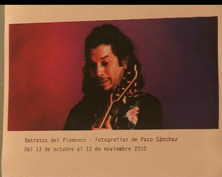 Imagen Flamenco en estado puro