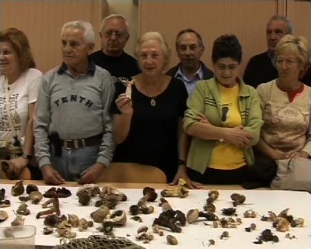 Imagen Senderuelas en la cesta