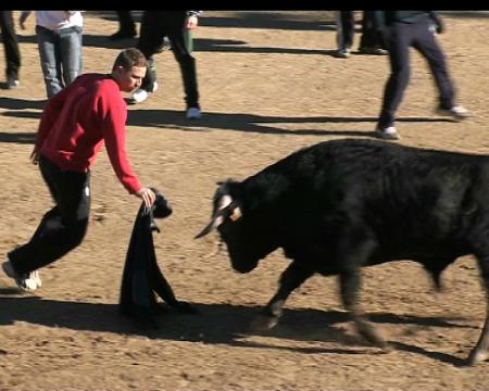 Imagen Vaquillas por San Sebastián