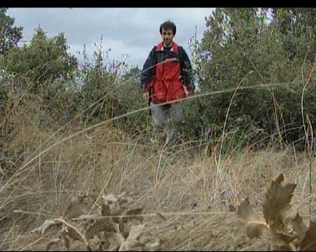 Imagen Curso de Orientación en la Naturaleza