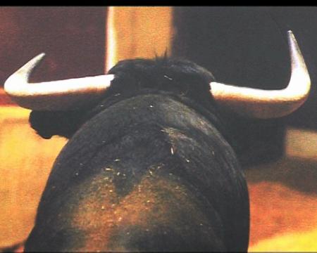 Imagen Primeros pasos de ASIMTAP