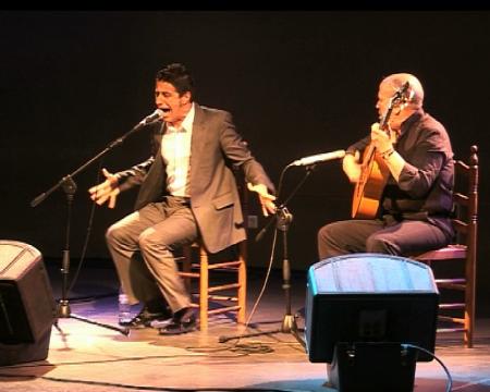 Imagen El flamenco se expresa en la cátedra