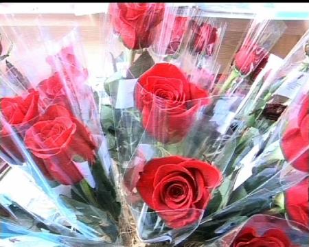 Imagen Un libro y una rosa