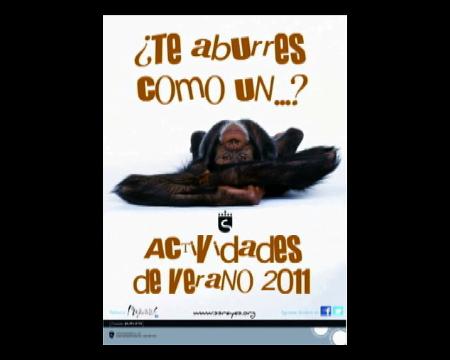 Imagen No te aburras como un mono