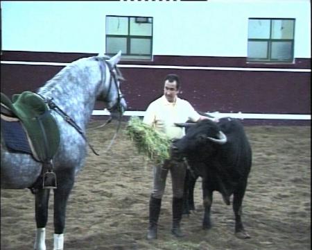 Imagen Historias de La Tercera: Andrés Caballero, ex-torero