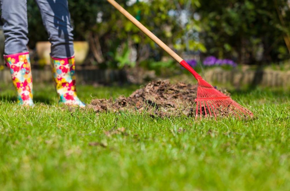 Imagen Mantener en buen estado las parcelas privadas, fundamental para la prevención de incendios