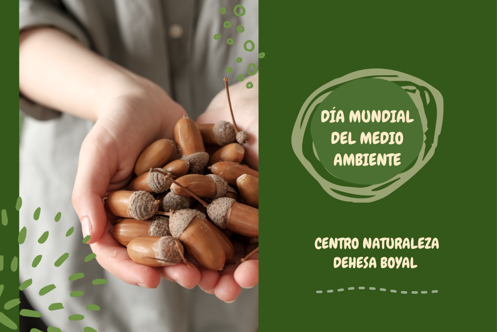 Foto cedida por Ayuntamiento de SanSe Foto cedida por Ayuntamiento de SanSe