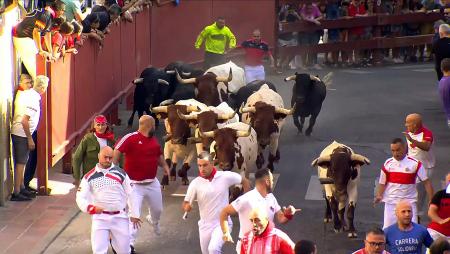 Imagen Los encierros de San Sebastián de los Reyes, un año más en directo en...