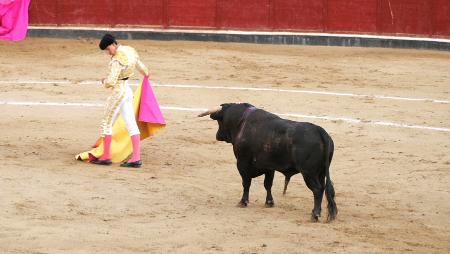 Imagen Diego García toreará “en casa” el día grande de las fiestas