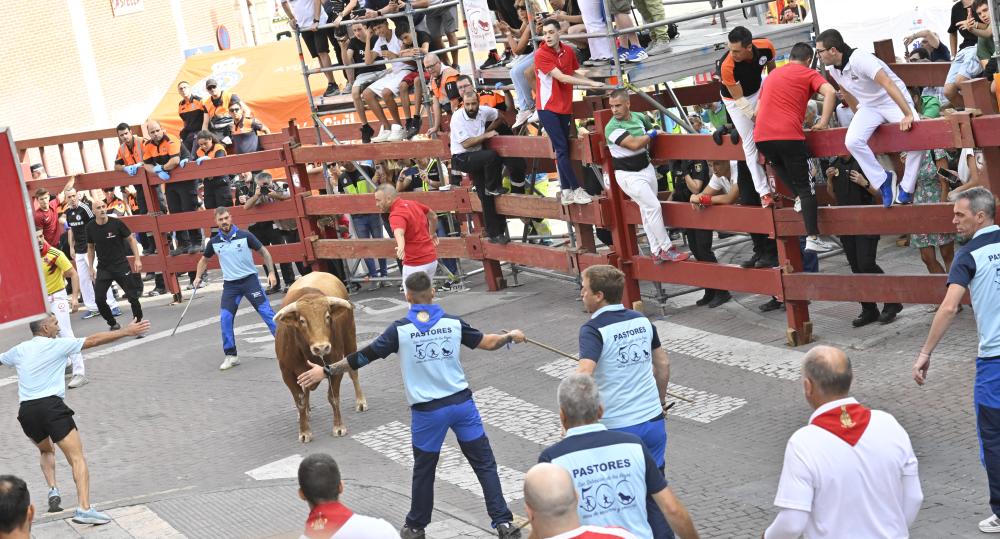 Imagen Reses muy rápidas y momentos de gran riesgo en el cuarto encierro de las Fiestas
