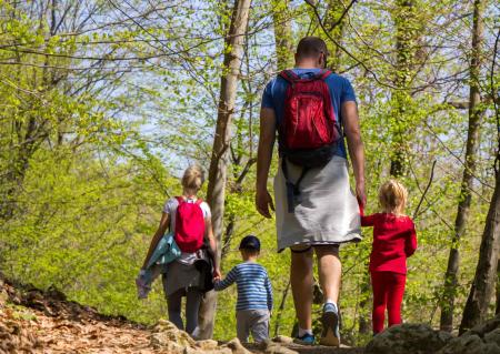 Imagen El Centro de Naturaleza Dehesa Boyal organiza una jornada para fomentar...