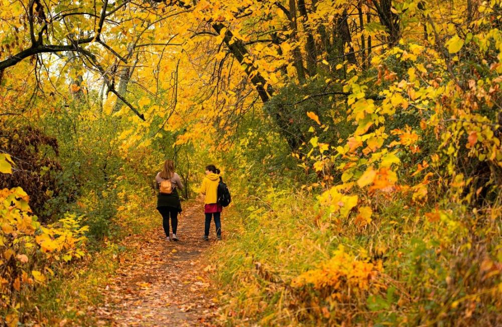 Imagen Nuevas actividades juveniles para el próximo mes