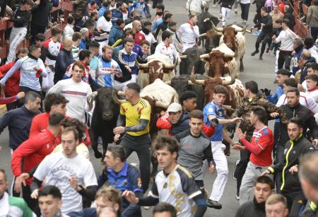 Imagen El segundo Encierro Blanco se salda con una carrera muy rápida y nueve...