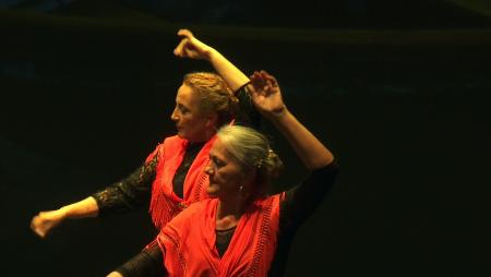 Imagen Pasión y creatividad sobre las tablas del TAM en la gala de “Danza por la Cultura”