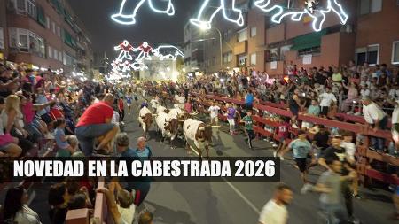 Imagen Dos toros después de la cabestrada, novedad en las fiestas de San Sebastián de los Reyes 2026