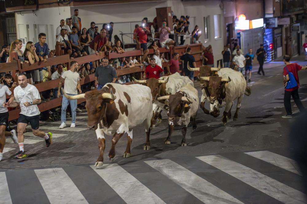 Imagen El 22 de agosto se celebrará una suelta de reses en la plaza de toros tras la finalización de la tradicional cabestrada
