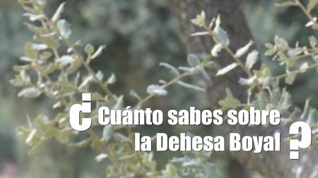 Imagen Crees que la conoces, pero... ¿Cuánto sabes sobre la Dehesa Boyal?