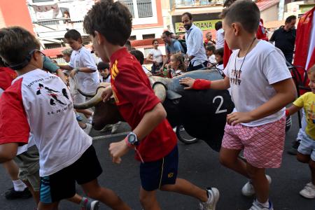 Imagen Las Fiestas en honor al Santísimo Cristo de los Remedios contarán con una programación especial para los más pequeños